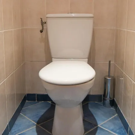 2 Pieces Sud A 500 M Des Pistes Avec Wifi Et Animaux Admis - Fr-1-449-53 *