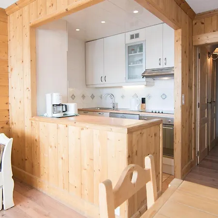 2 Pieces Sud A 500 M Des Pistes Avec Wifi Et Animaux Admis - Fr-1-449-53 * Tignes